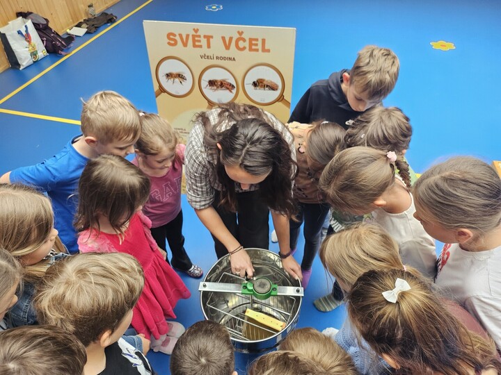 Včely a včelky - 1.a 2.r.